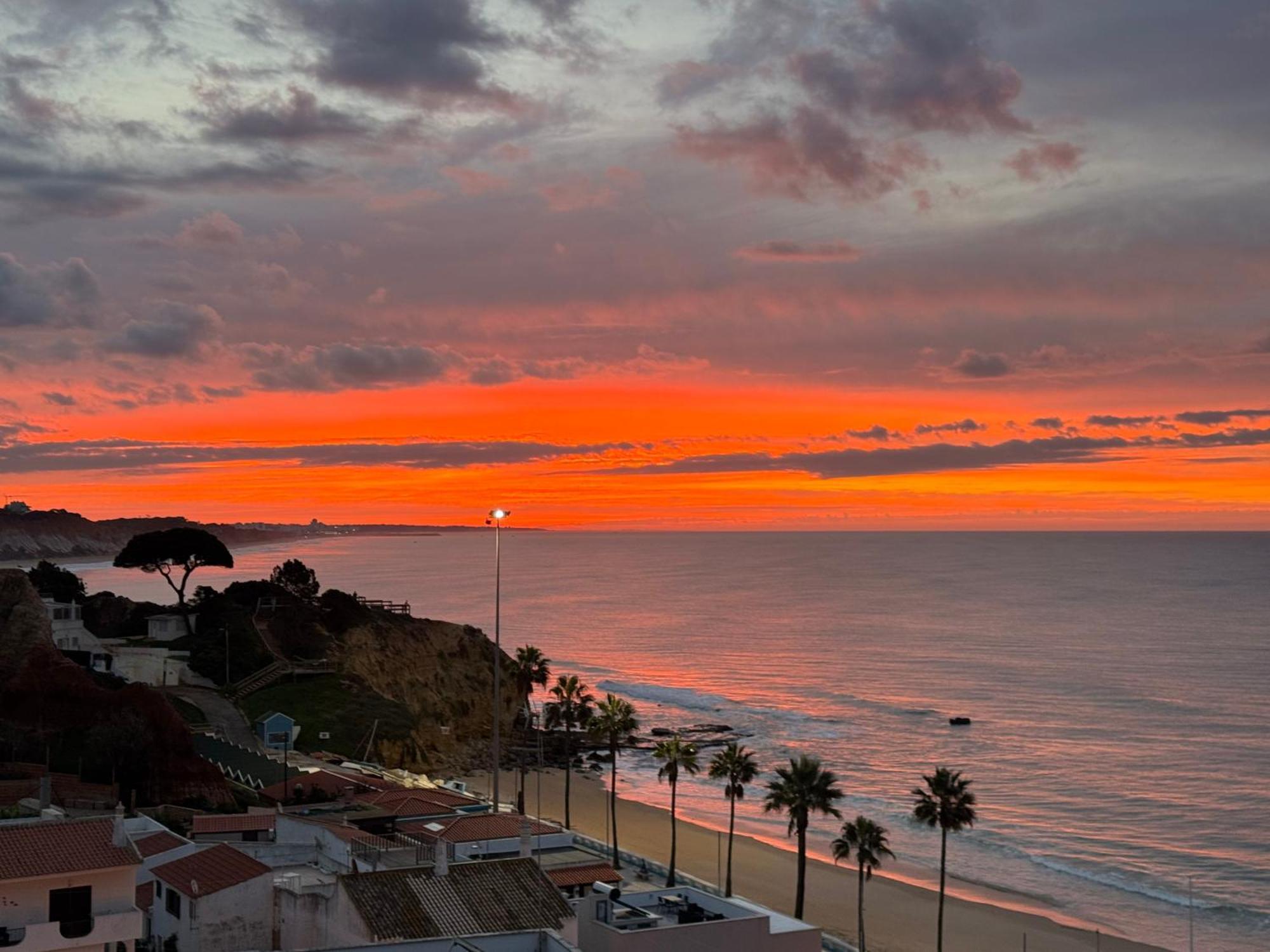 Apartamentos Do Parque Albufeira Dış mekan fotoğraf